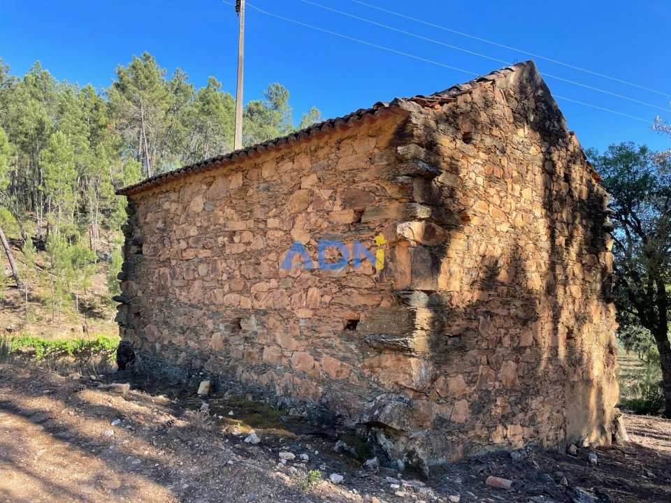 Terreno para Venda em Sarzedas Foto 49