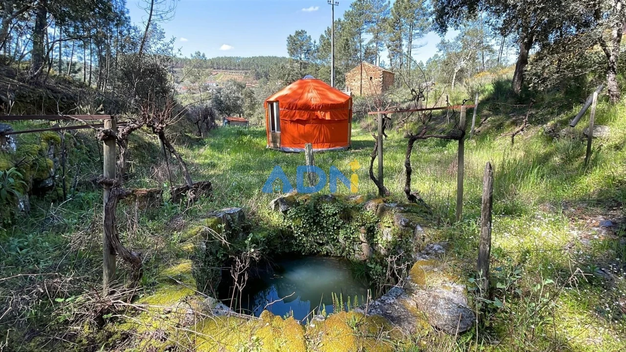 Terreno para Venda em Sarzedas Foto 71