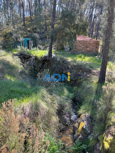 Terreno para Venda em Sarzedas