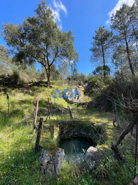 Terreno para Venda em Sarzedas