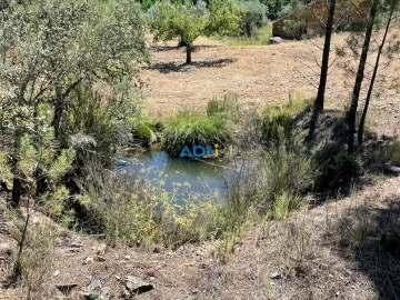 Terreno para Venda em Sarzedas