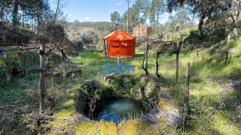 Terreno para Venda em Sarzedas