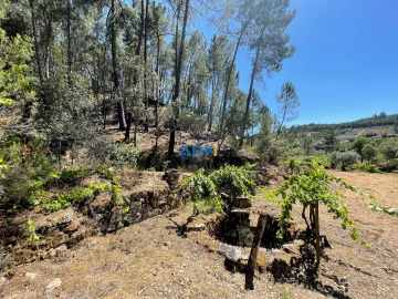 Terreno para Venda em Sarzedas