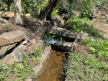Terreno para Venda em Sarzedas