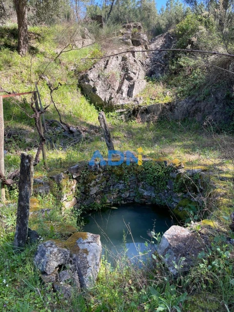Terreno para Venda em Sarzedas