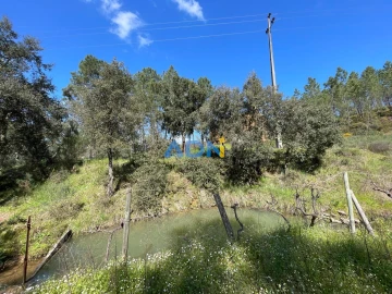 Terreno para Venda em Sarzedas