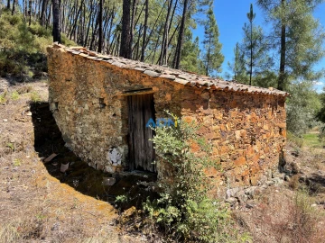Terreno para Venda em Sarzedas