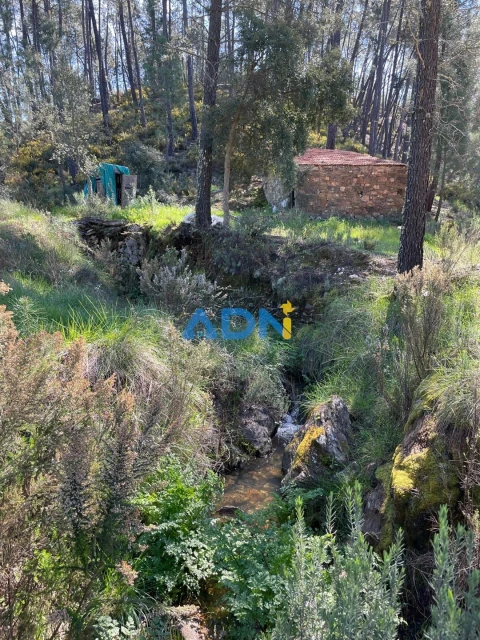 Terreno para Venda em Sarzedas