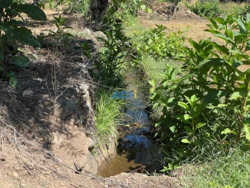 Terreno para Venda em Sarzedas