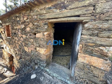 Terreno para Venda em Sarzedas