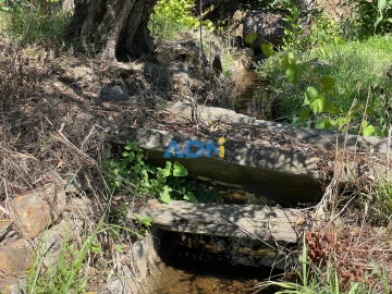 Terreno para Venda em Sarzedas