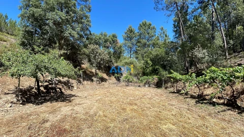 Terreno para Venda em Sarzedas