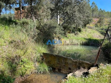Terreno para Venda em Sarzedas