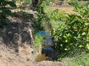 Terreno para Venda em Sarzedas