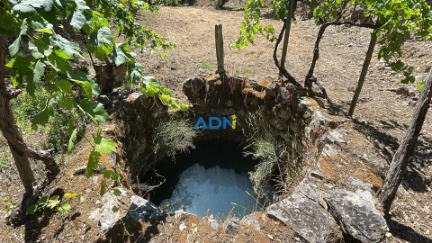 Terreno para Venda em Sarzedas