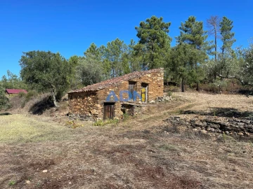Terreno para Venda em Sarzedas