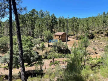 Terreno para Venda em Sarzedas