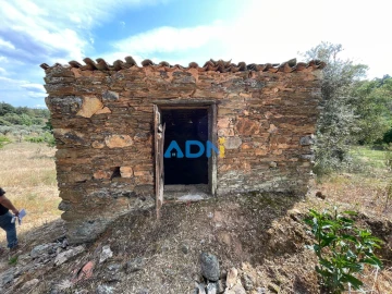 Terreno para Venda em Sarzedas