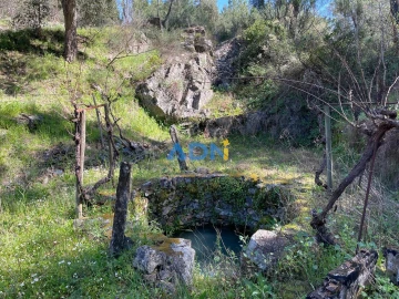 Terreno para Venda em Sarzedas