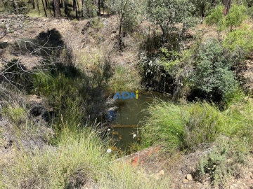 Terreno para Venda em Sarzedas