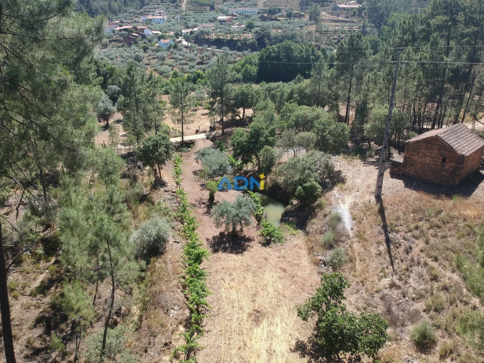 Terreno para Venda em Sarzedas Foto 3