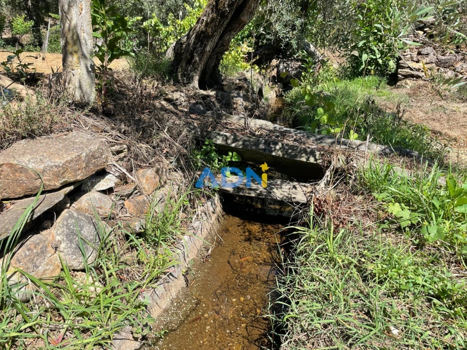 Terreno para Venda em Sarzedas Foto 40