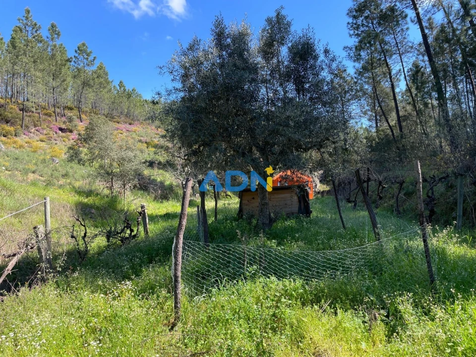 Terreno para Venda em Sarzedas Foto 76