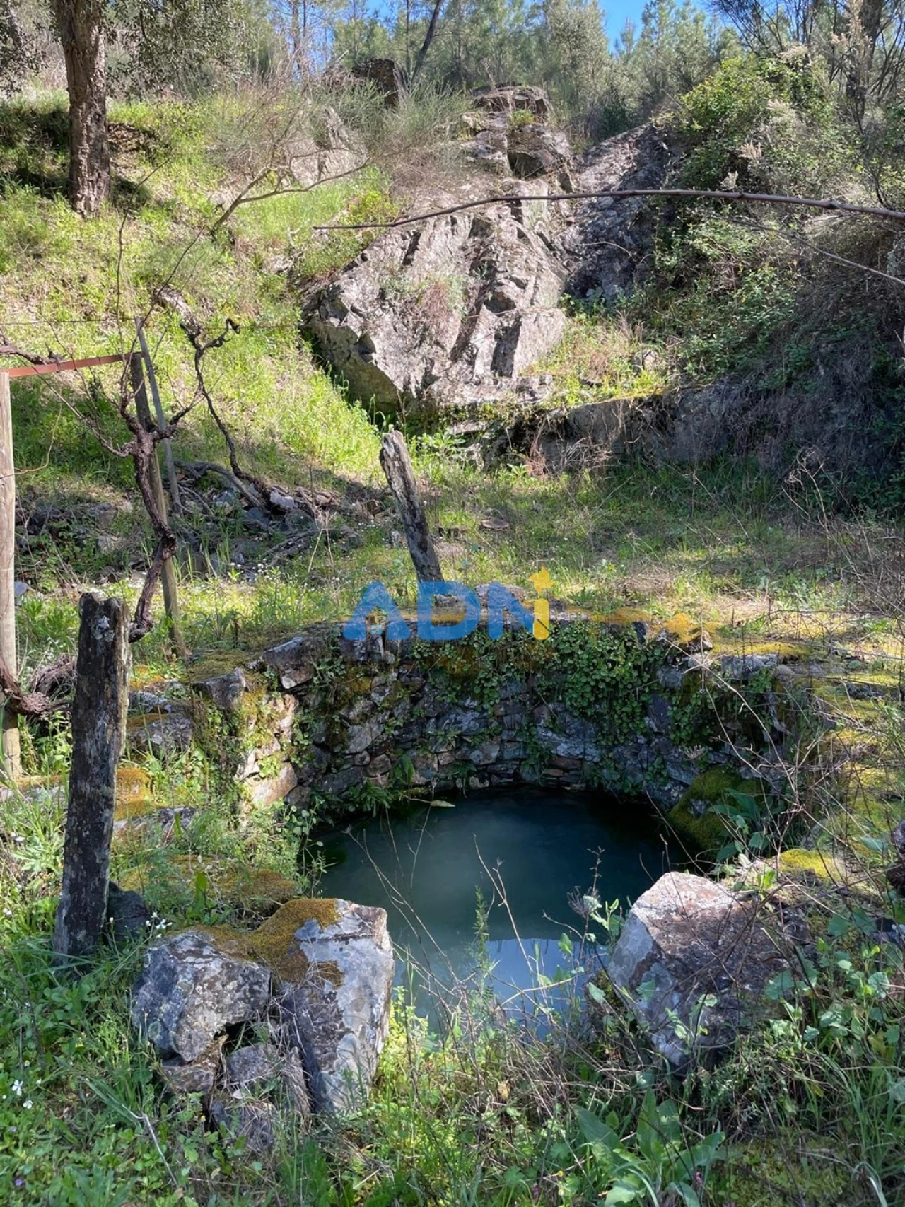 Terreno para Venda em Sarzedas Foto 74