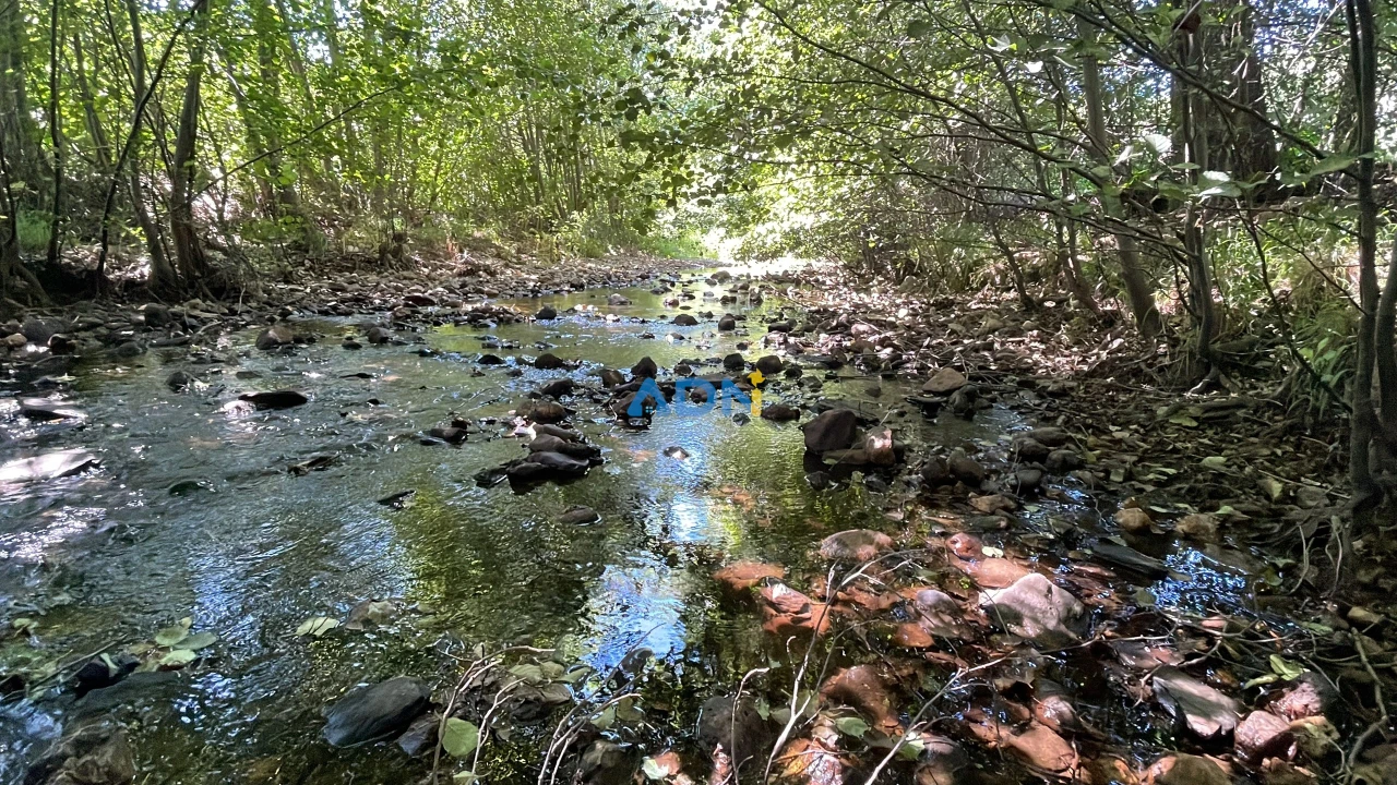 Terreno para Venda em Sarzedas Foto 9