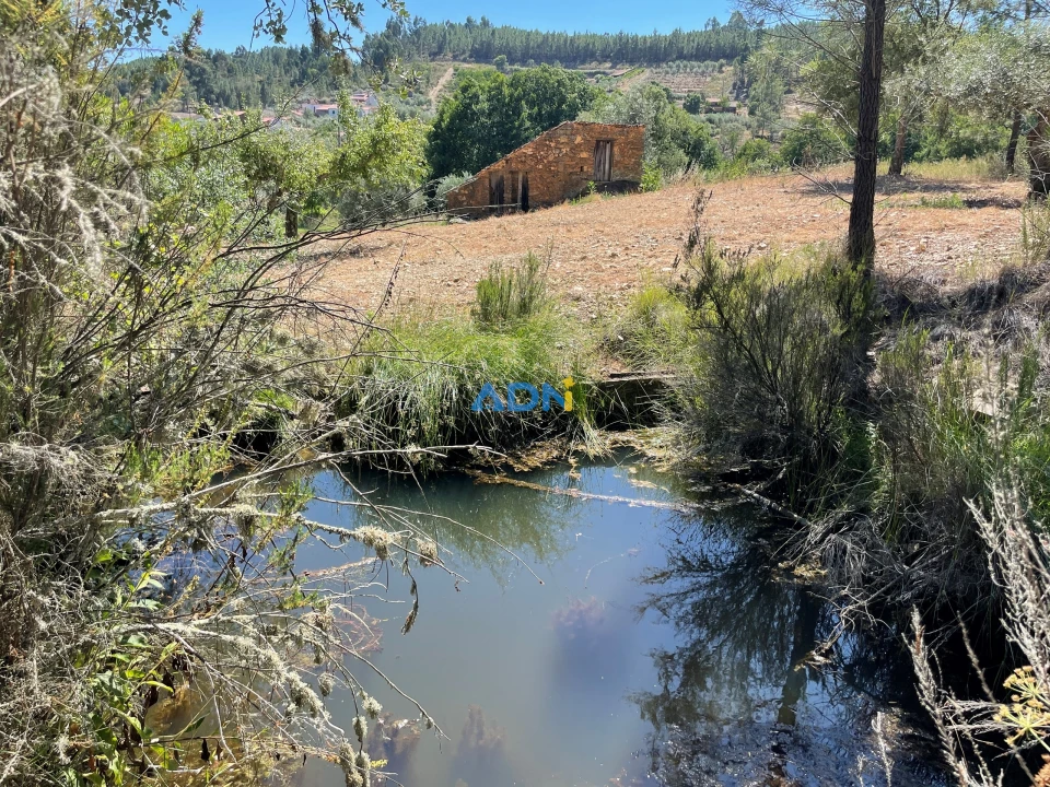 Terreno para Venda em Sarzedas Foto 16
