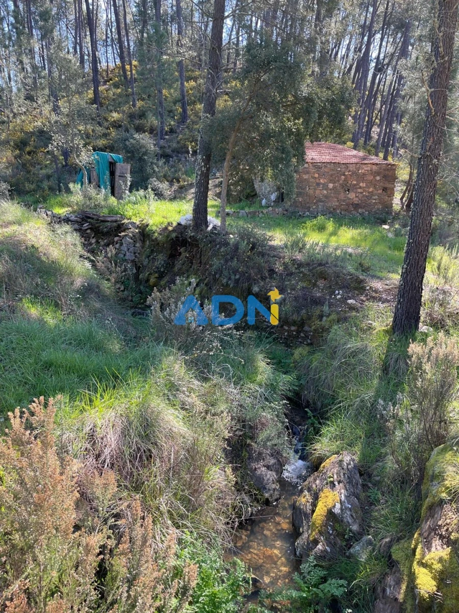 Terreno para Venda em Sarzedas Foto 66