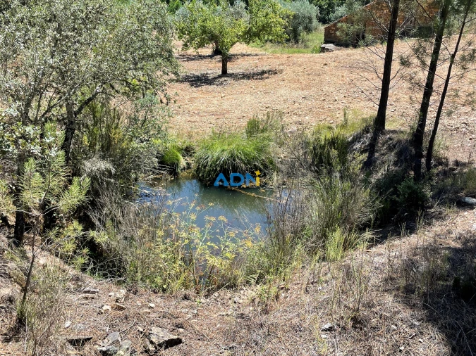 Terreno para Venda em Sarzedas Foto 6