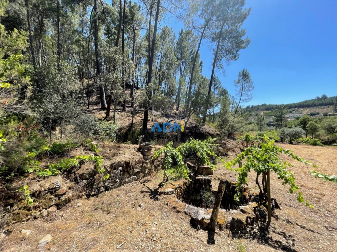 Terreno para Venda em Sarzedas Foto 29