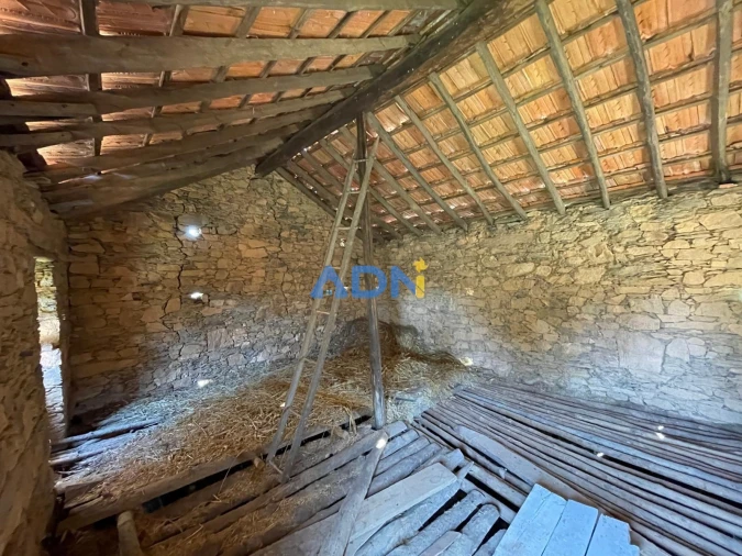 Terreno para Venda em Sarzedas Foto 68