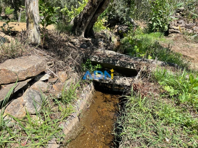 Terreno para Venda em Sarzedas Foto 40