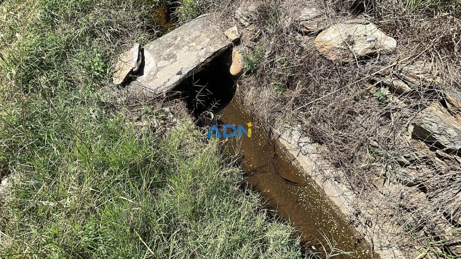 Terreno para Venda em Sarzedas Foto 32