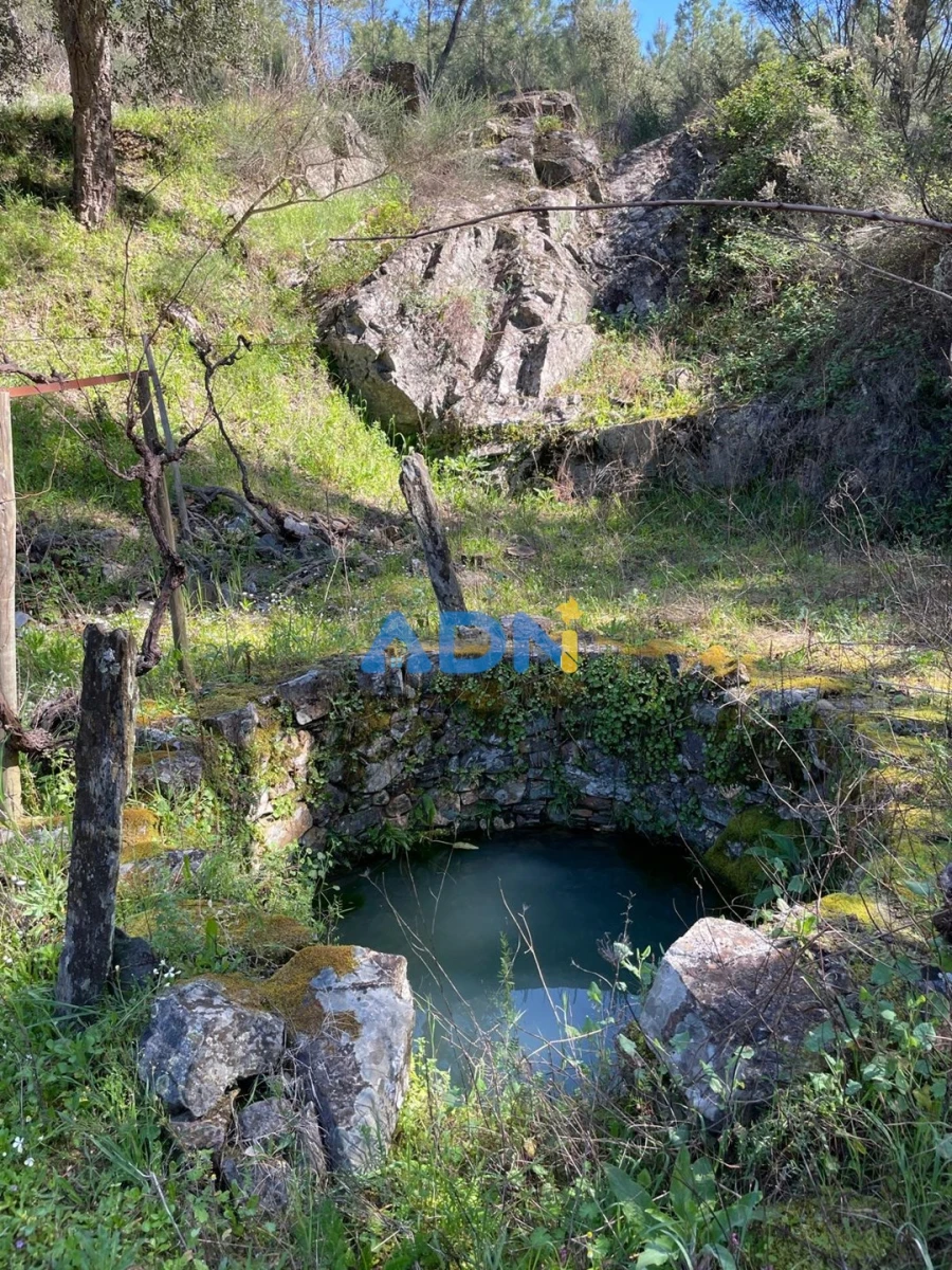 Terreno para Venda em Sarzedas Foto 74