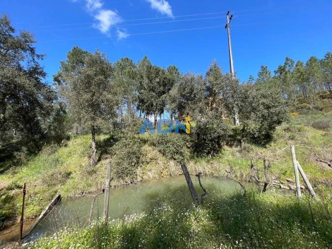Terreno para Venda em Sarzedas Foto 77