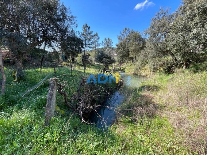 Terreno para Venda em Sarzedas Foto 69