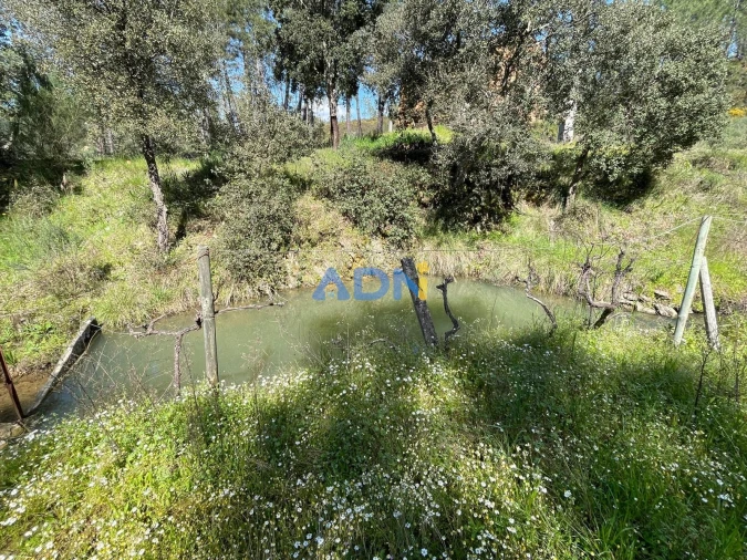 Terreno para Venda em Sarzedas Foto 80