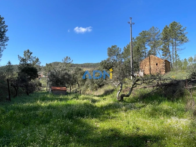 Terreno para Venda em Sarzedas Foto 70