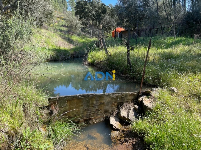 Terreno para Venda em Sarzedas Foto 65