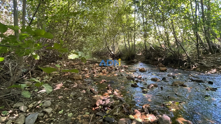 Terreno para Venda em Sarzedas Foto 10