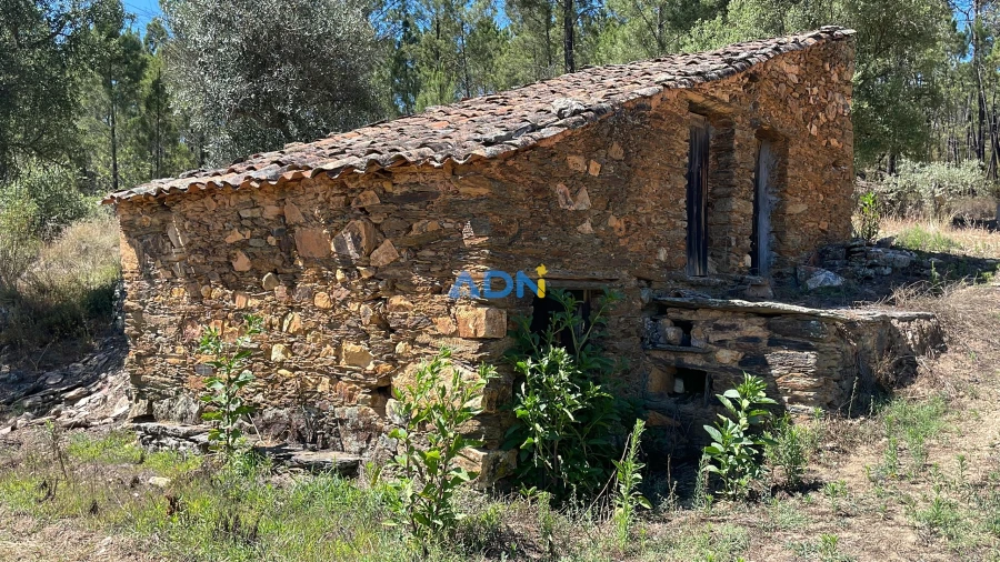 Terreno para Venda em Sarzedas Foto 18