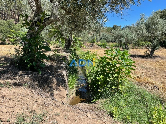 Terreno para Venda em Sarzedas Foto 41