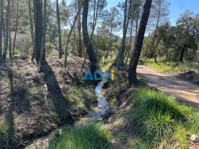 Terreno para Venda em Sarzedas Foto 62