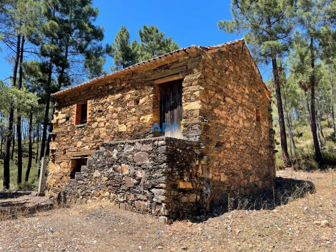 Terreno para Venda em Sarzedas Foto 5