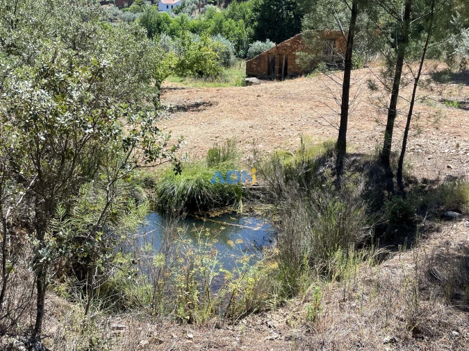 Terreno para Venda em Sarzedas Foto 8
