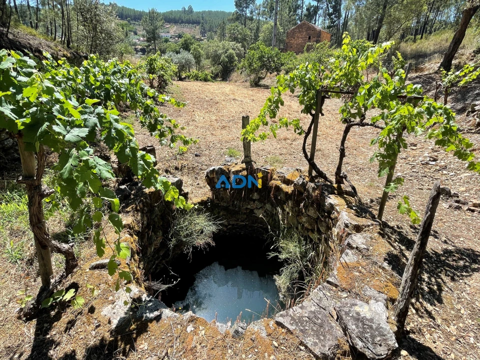 Terreno para Venda em Sarzedas Foto 7