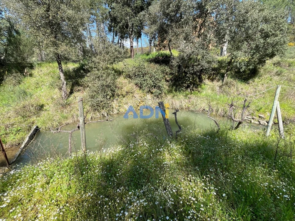 Terreno para Venda em Sarzedas Foto 80